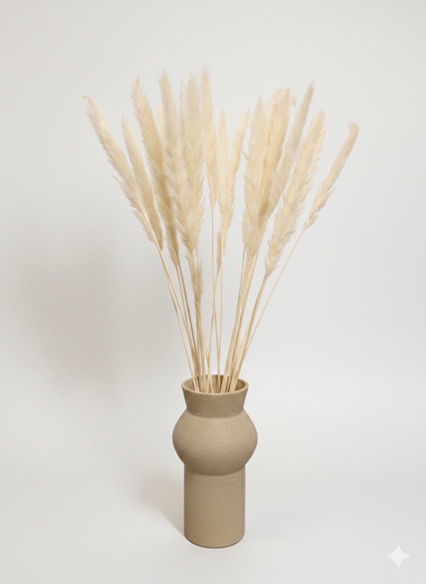 Valge pampashein (20tk)