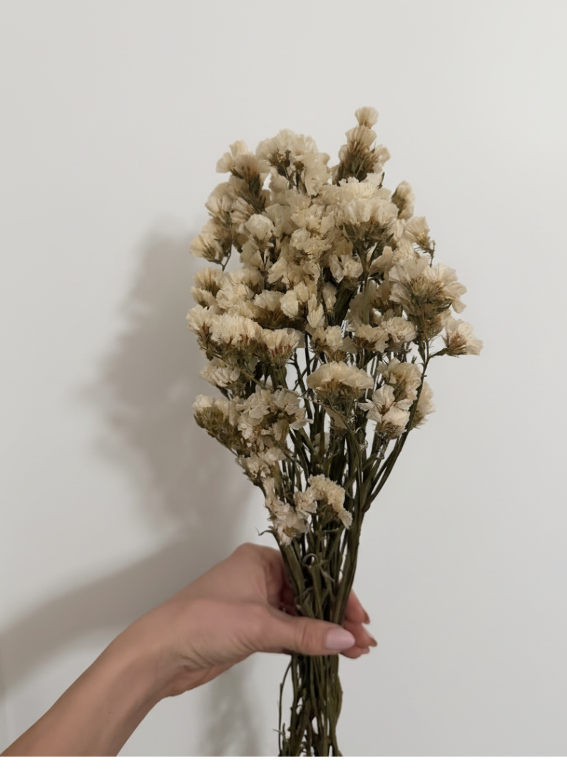 Parkjuure punt - naturaalne valge