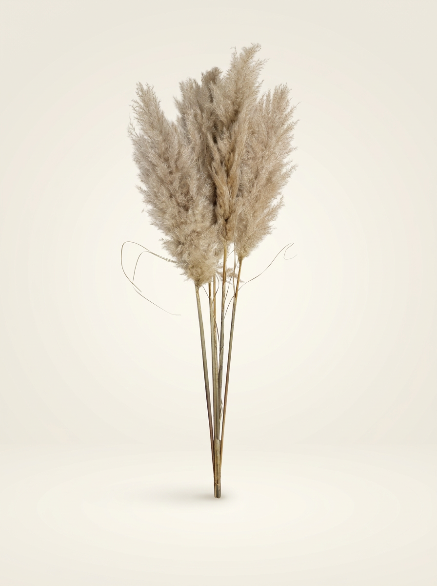 Pampashein – naturaalne beež