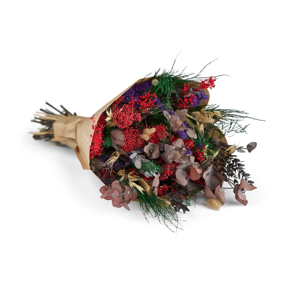 Noctis – igikestev kimp punaste ja lillade nootidega