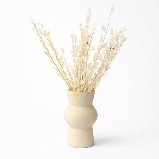 Lunaria – õhuline kuukressi punt