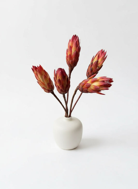 Pendula-kuivlilled-oranz-kollane