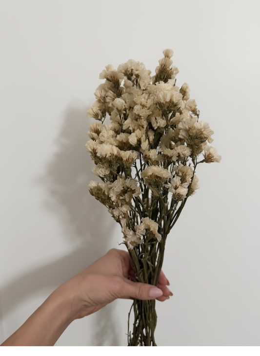 Parkjuure punt - naturaalne valge