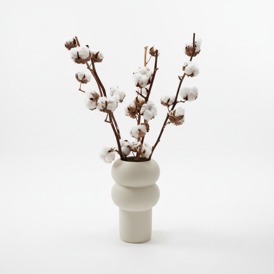 Cotton Flower – naturaalne puuvillalille oks (1tk)