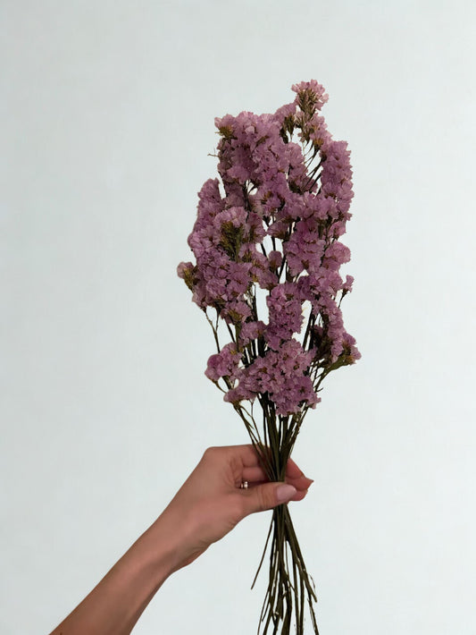 Parkjuure punt - naturaalne roosa