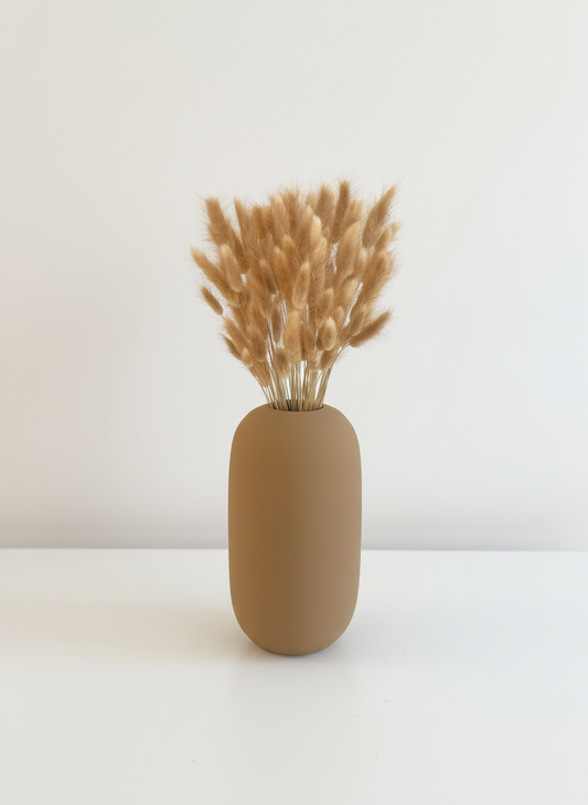 Jänesesaba (lagurus) - naturaalne