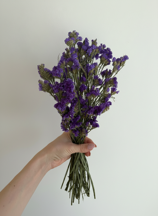 Parkjuure punt - naturaalne sinine